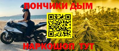 шишки Краснодар
