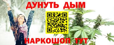 шишки Краснодар