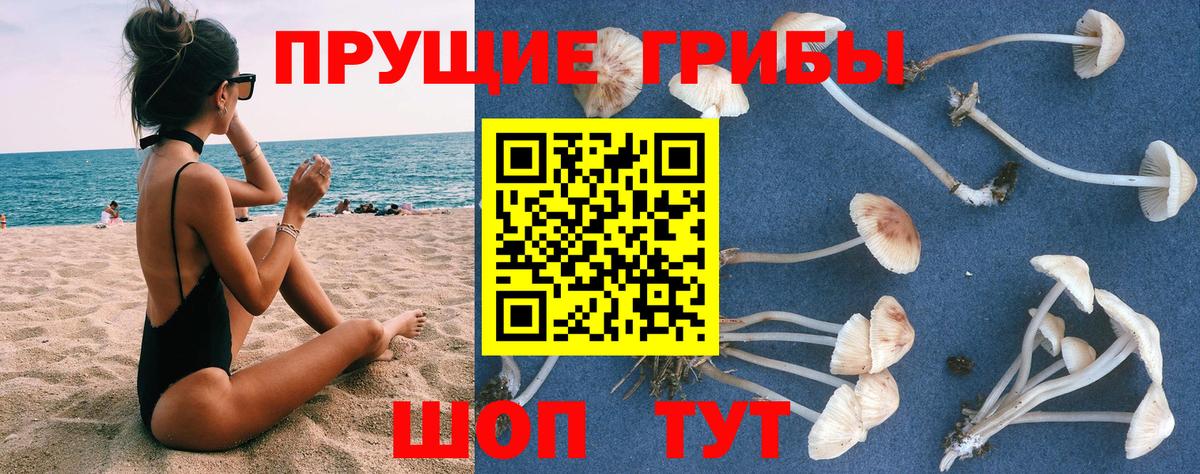 Кандалакша  Псилоцибиновые грибы ЛСД  Вход с VPN 